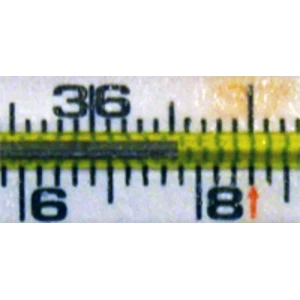 Valdība apstiprina Veselības aprūpes finansēšanas likumprojektu