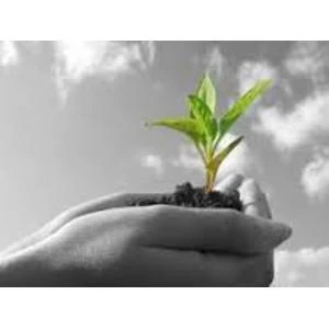 Zaļo tehnoloģiju inkubators sāk pieņemt biznesa ideju pieteikumus