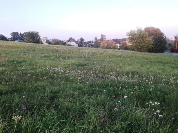 Zemes īpašnieka pienākums ir pašam sekot līdzi nekustamā īpašuma atļautās izmantošanas izmaiņām