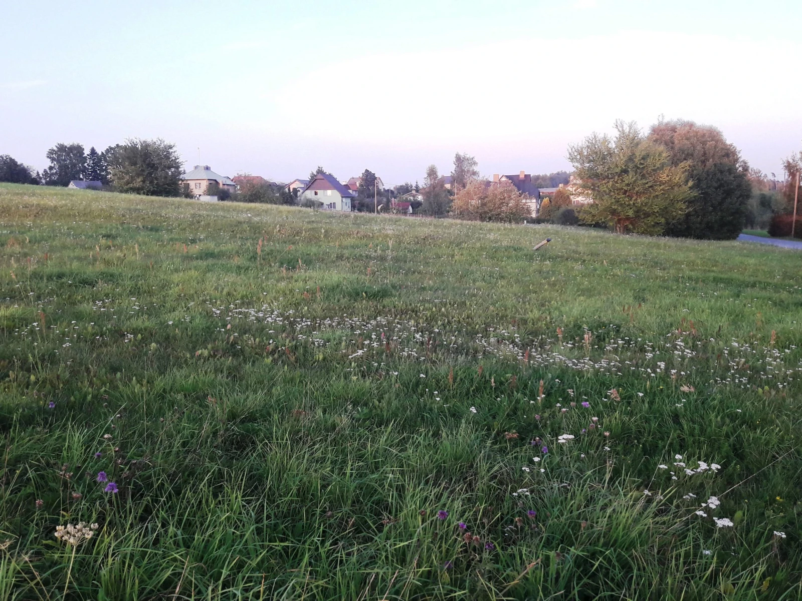 Senāta atziņas zemes piespiedu nomas jautājumos skaidro arī PVN piemērošanu