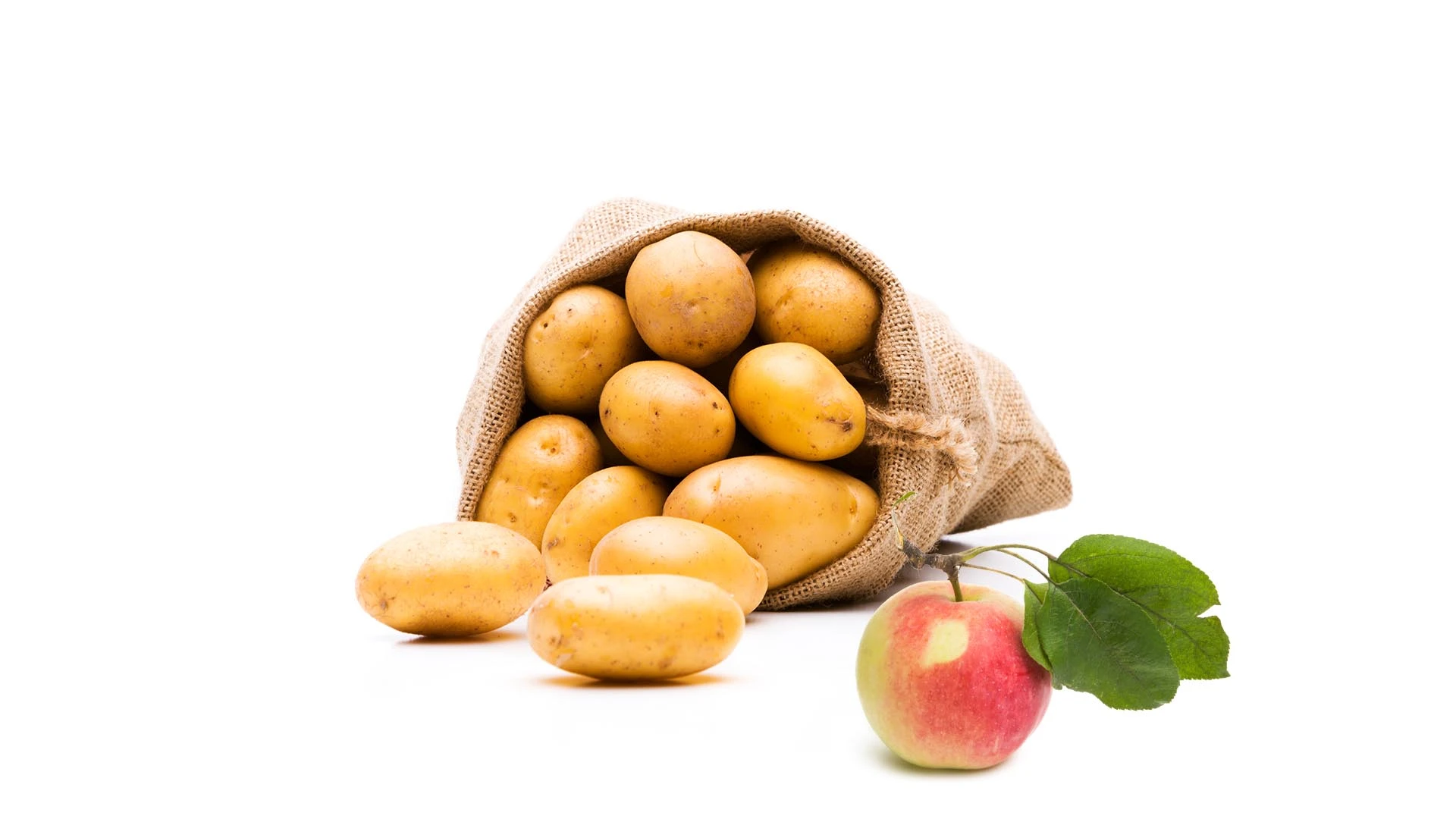 Aizdevuma līgums un vienošanās par apmācību