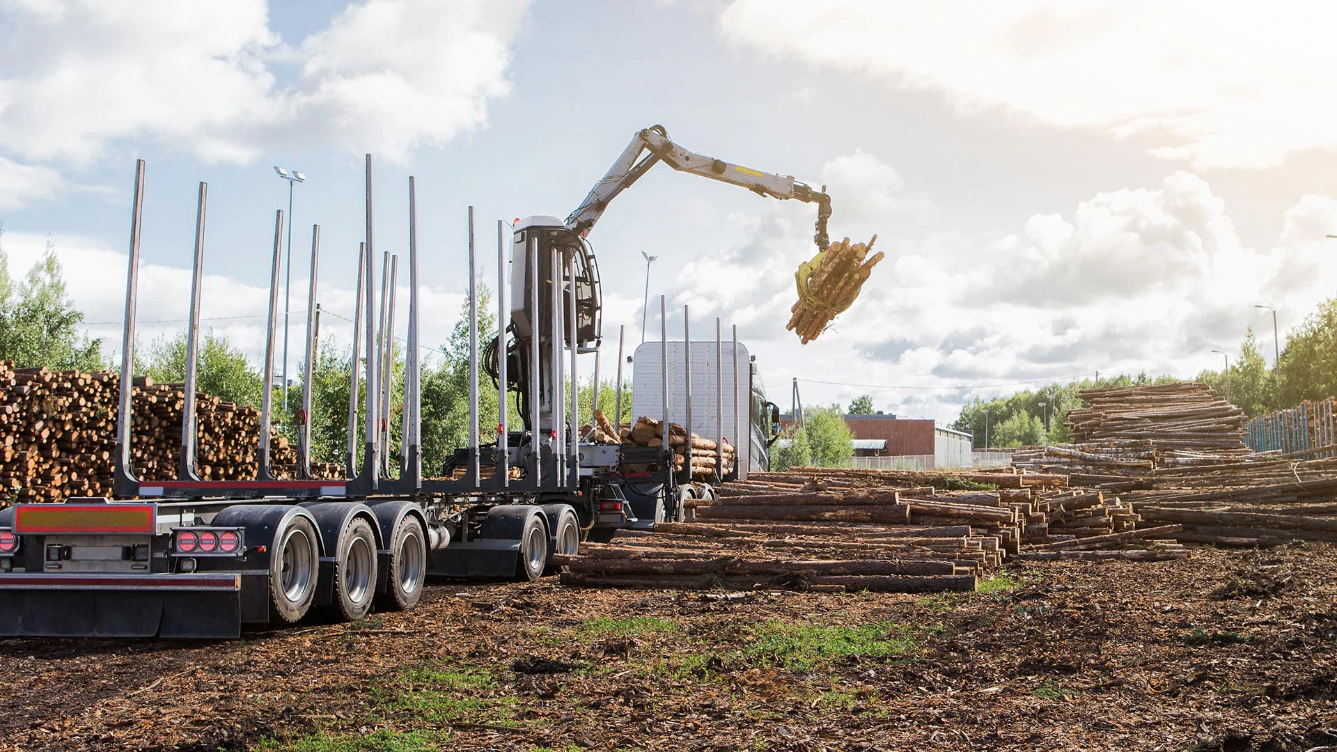 Grāmatvedības uzskaite un nodokļu piemērošana kokapstrādes nozarē