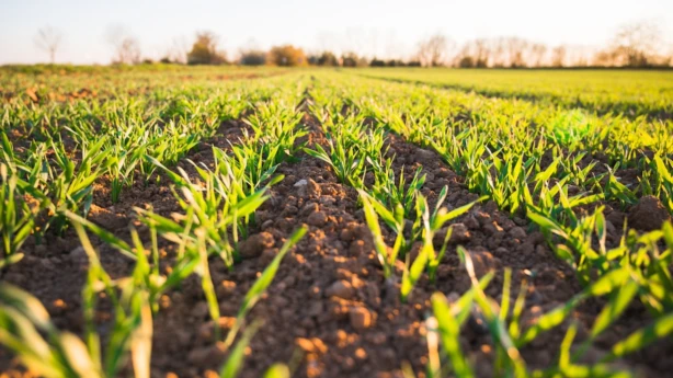 Samazina procentu likmi aizdevumam lauksaimniecības zemes iegādei