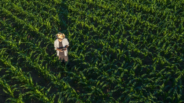 Sezonas laukstrādnieku ienākuma nodoklis