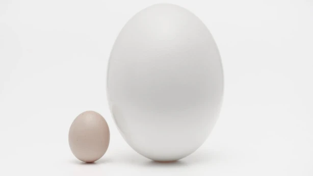 Tiek palielinātas mikrosabiedrību, mazo, vidējo un lielo sabiedrību lielumu kritēriju robežvērtības