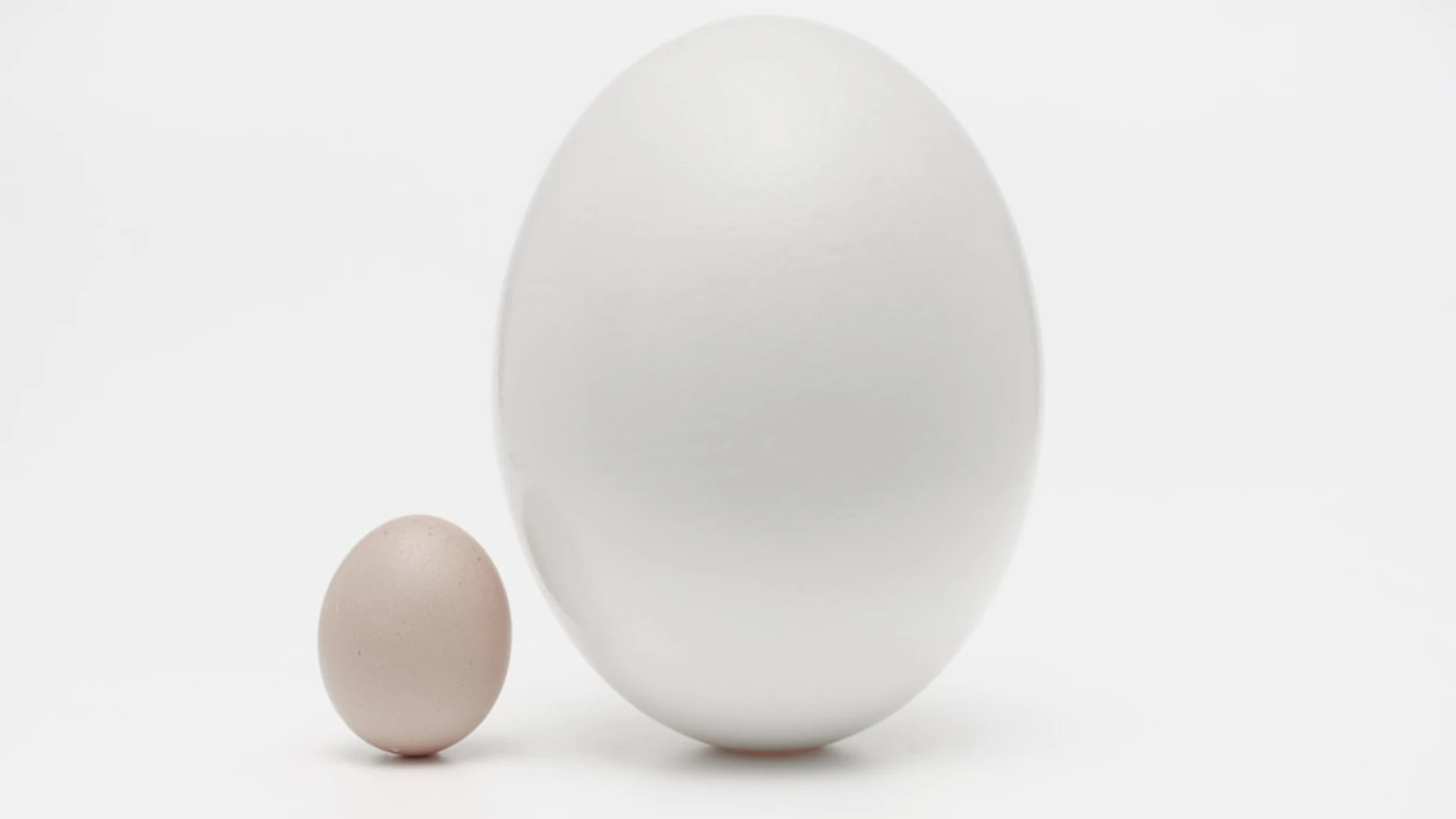 Tiek palielinātas mikrosabiedrību, mazo, vidējo un lielo sabiedrību lielumu kritēriju robežvērtības