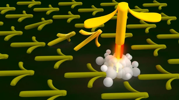 Bilances Juridiskie Padomi: Oktobris reformu gaidās