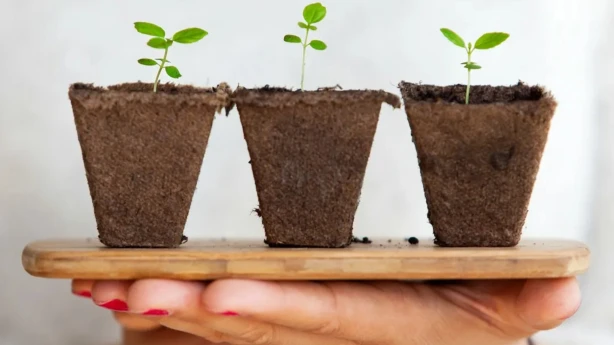 Baltijas valstu ekonomikas izaugsmes prognozes samazinās