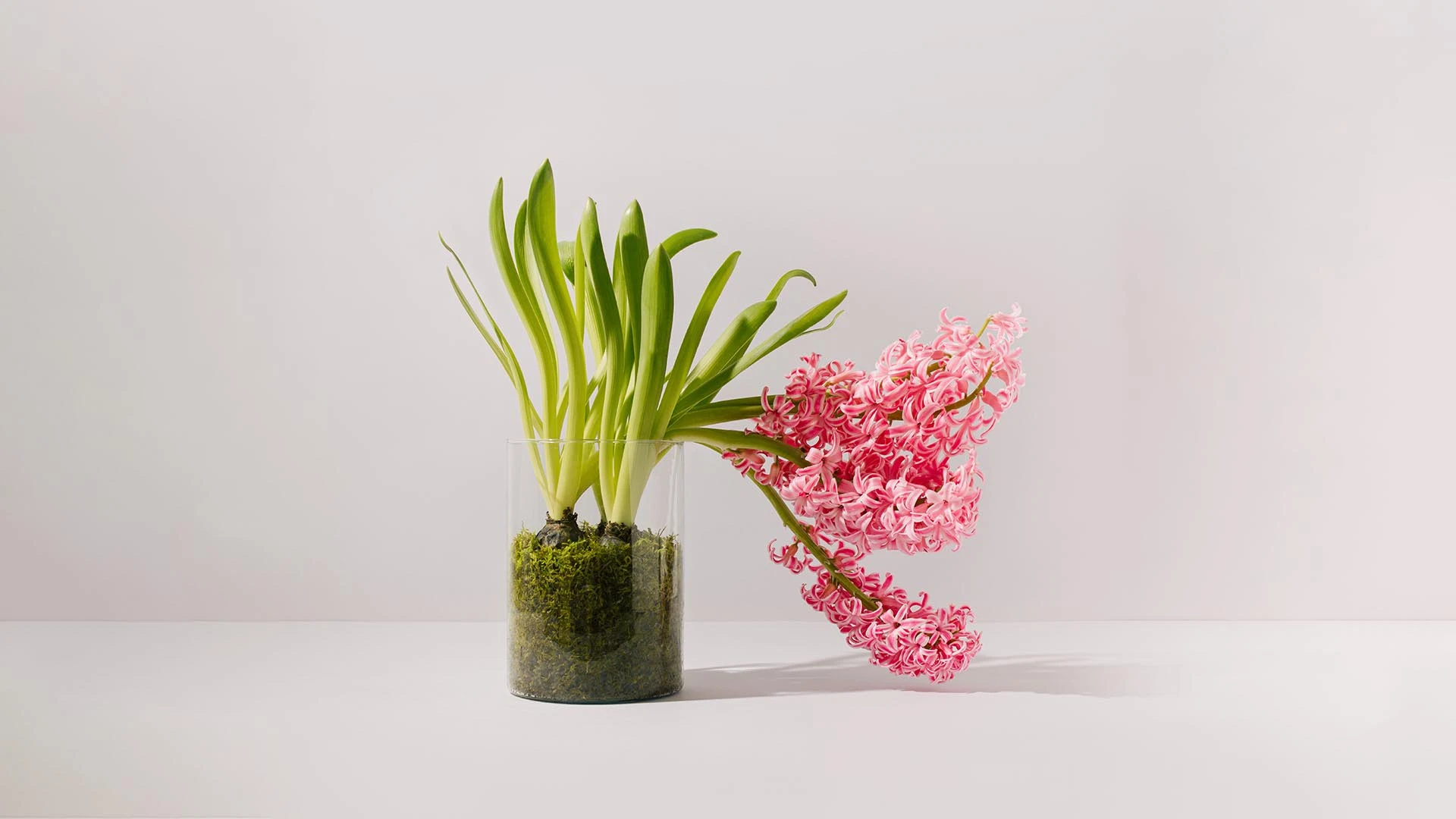 Aktuālā Eiropas Savienības Tiesas prakse publisko iepirkumu lietās