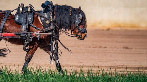 Svarīgākais, kas jāzina par sezonas laukstrādnieku nodokli