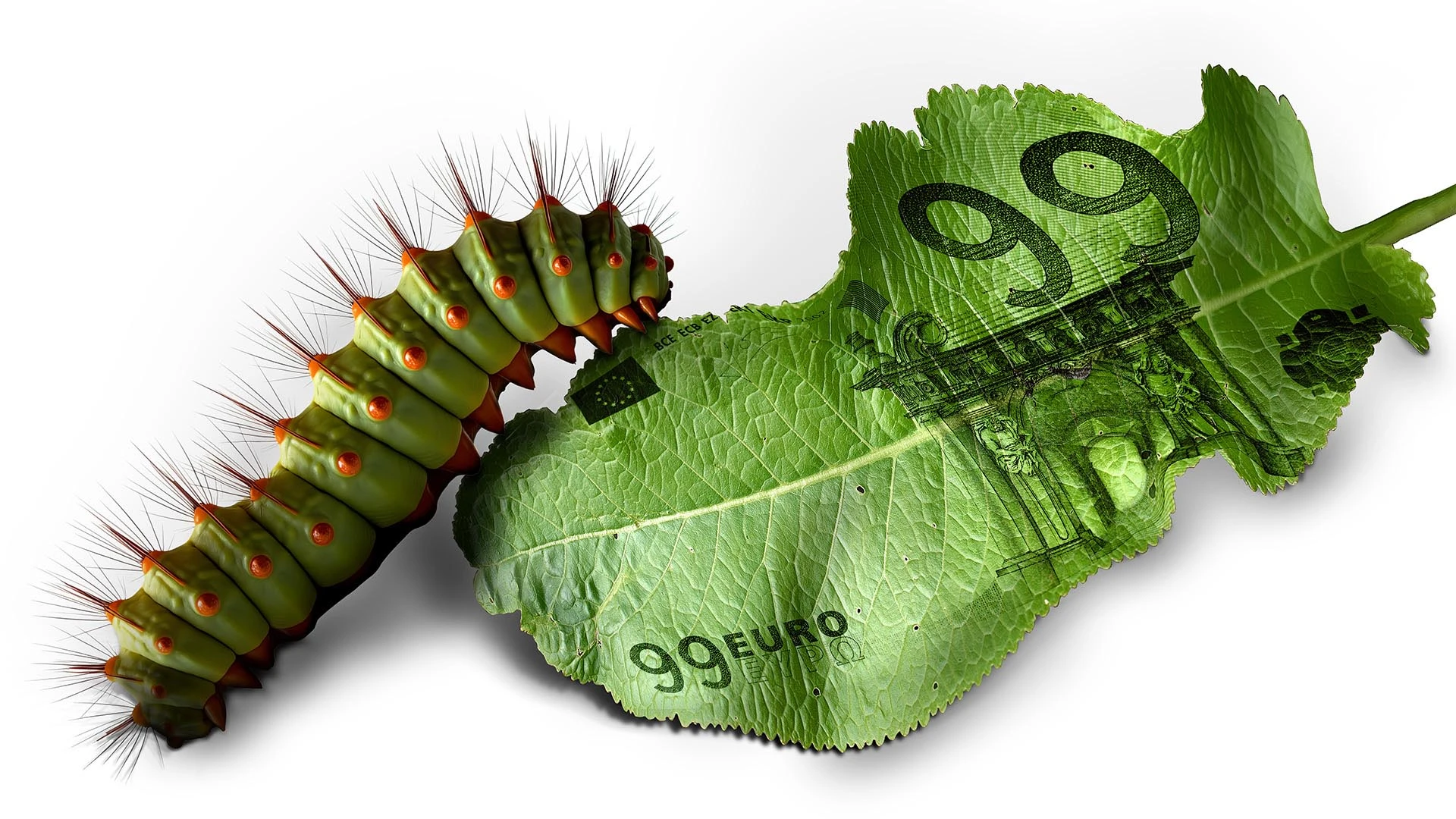 Kur ieguldīt uzkrājumus? Meklējot līdzsvaru starp risku un atdevi