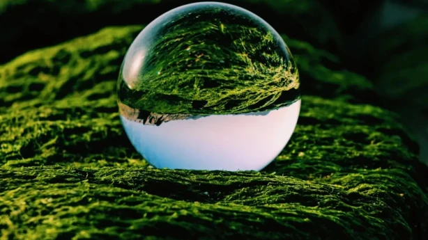 Kādus ieguvumus paredz Ekonomiskās ilgtspējas likuma projekts?