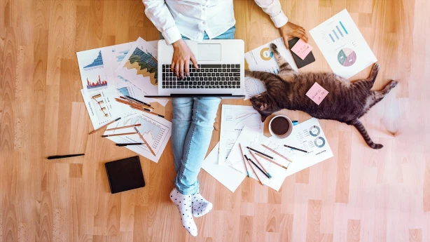 EST par darba laika uzskaiti mājsaimniecībās nodarbinātajiem