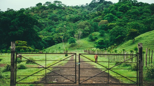Aktualizēts zemu nodokļu vai beznodokļu valstu un teritoriju saraksts