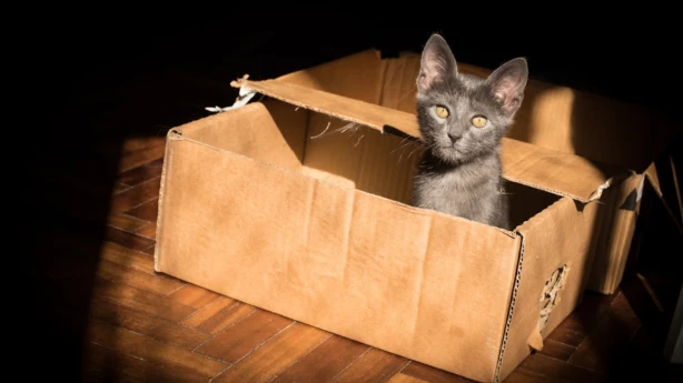 Kāda informācija sniedzama sabiedriskā labuma organizāciju “Vadības ziņojumā”?