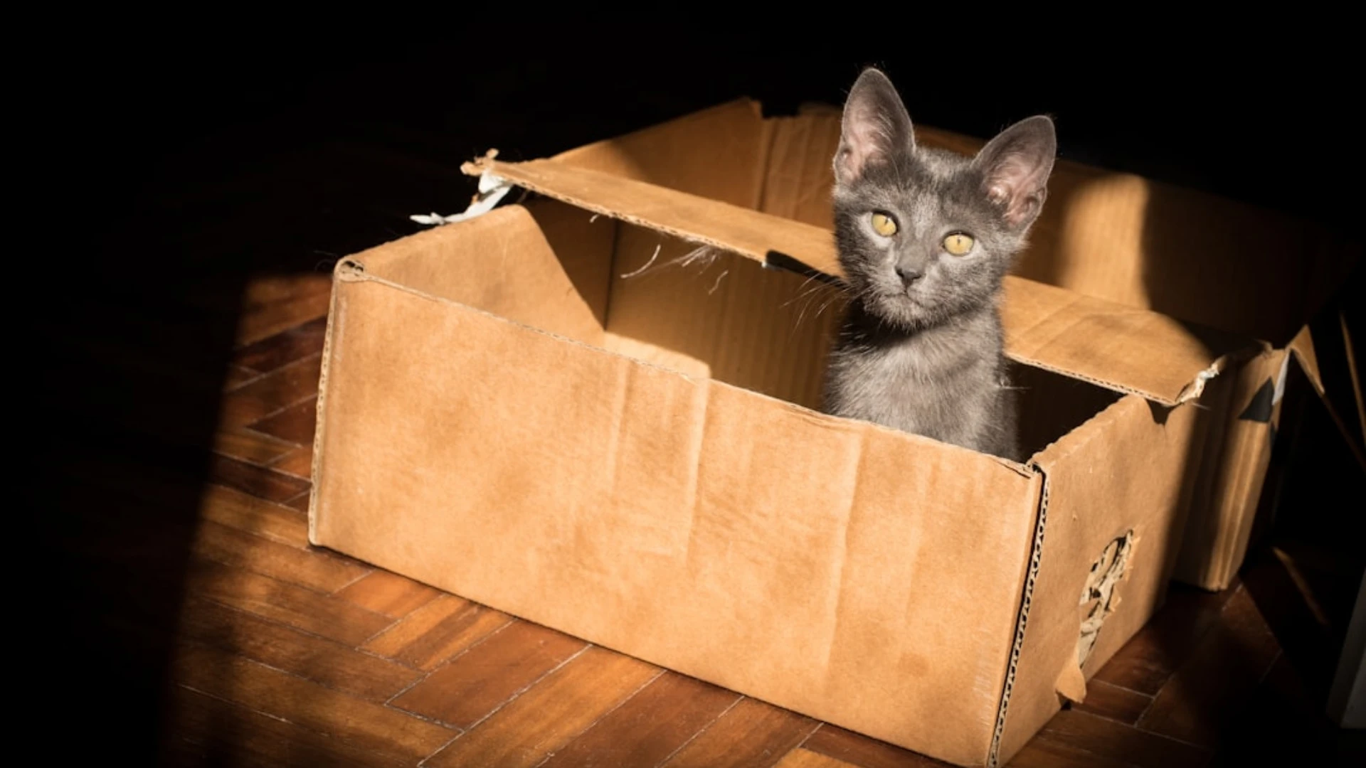 Kāda informācija sniedzama sabiedriskā labuma organizāciju “Vadības ziņojumā”?