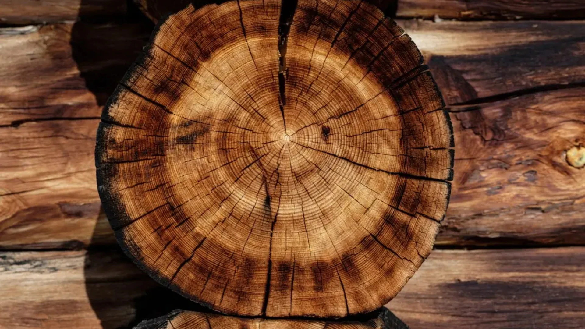 Nodokli par nepārstrādātu koksni ieviesīs 2027. gadā