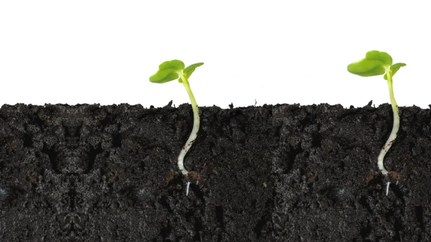 Lauksaimniecības zemes pārdošana un kapitāla pieauguma nodoklis