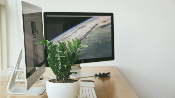 Pieteikta, bet nereģistrēta saimnieciskā darbība