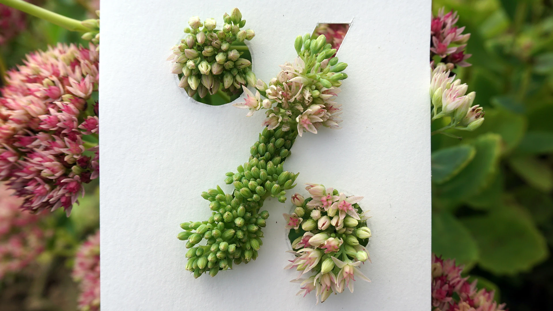 Procenti, par kuriem būtu jāmaksā UIN