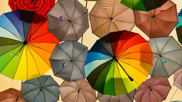 Grāmatvedības «jumta» likuma jaunais likumprojekts – apzinātas un neapzinātas sekas