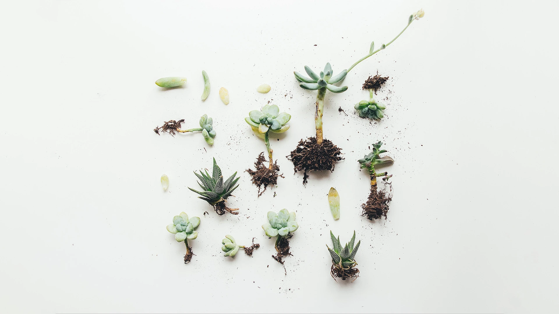 MUN maksātājs saņēmis grantu