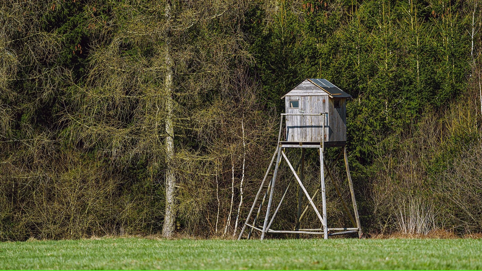 Vai jāreģistrē VID meža īpašnieku līgums ar mednieku biedrību par medību tiesību nodošanu?