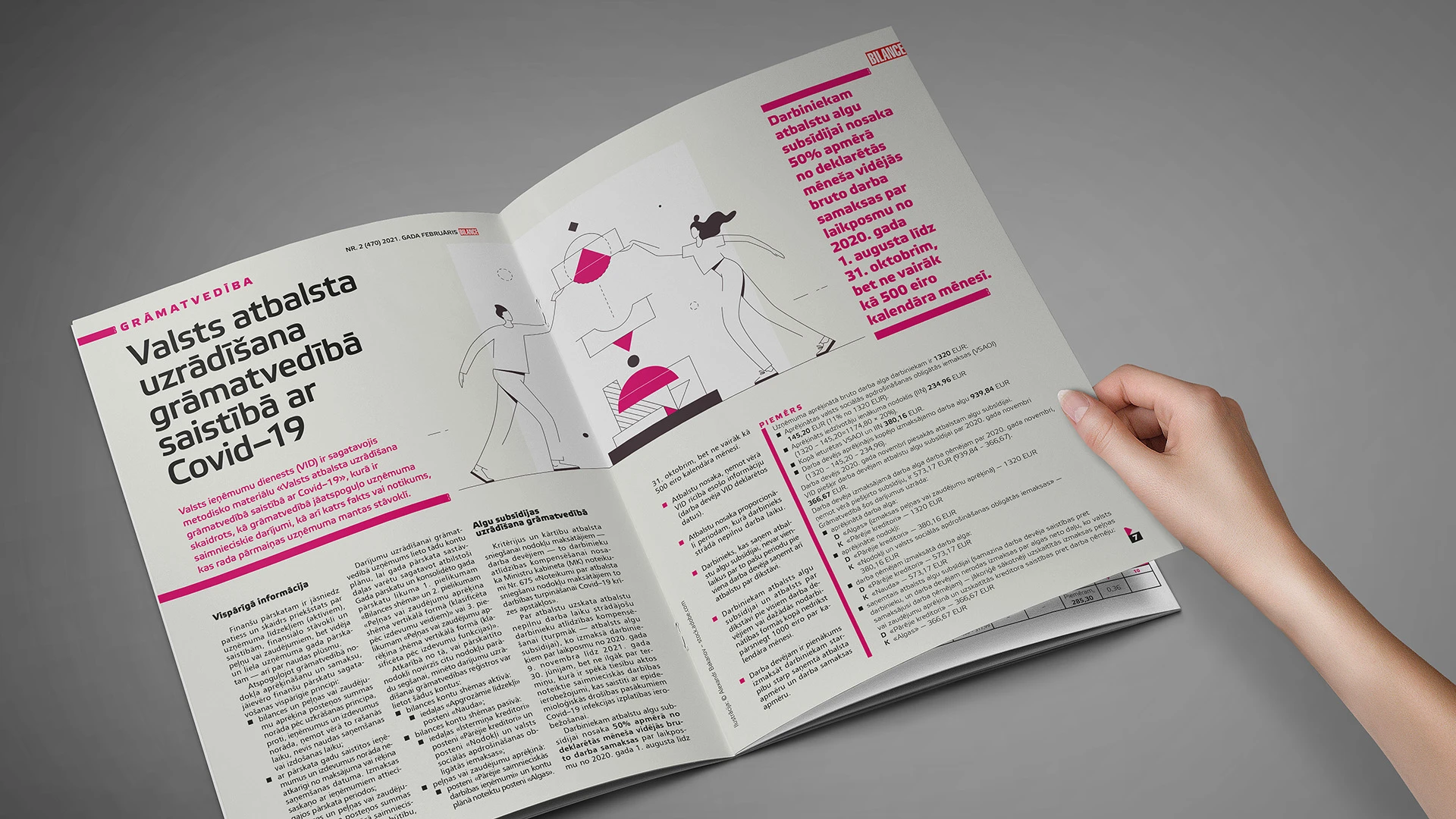 Papildu skaidrojums par subsīdijām