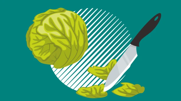 Zemnieku saimniecības peļņas izlietošana