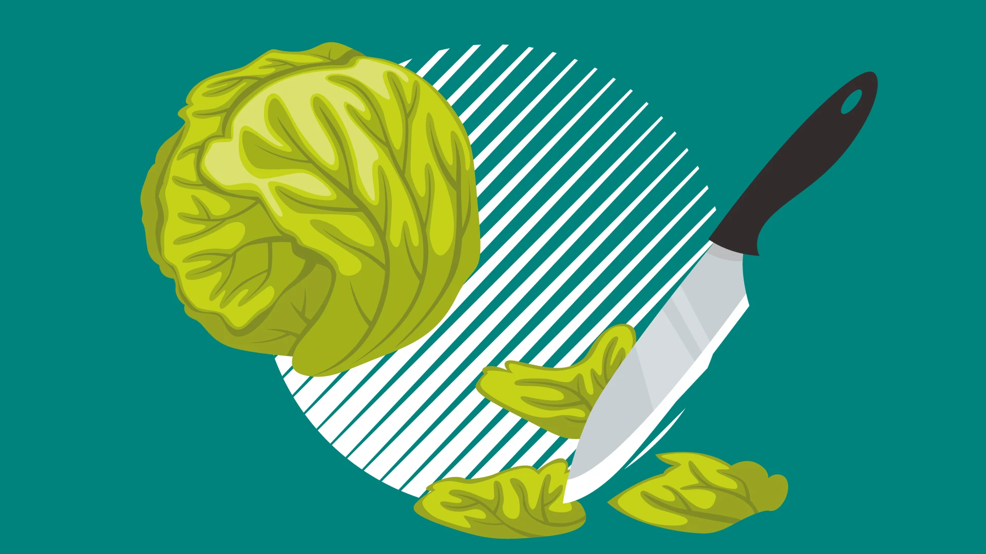 Zemnieku saimniecības peļņas izlietošana