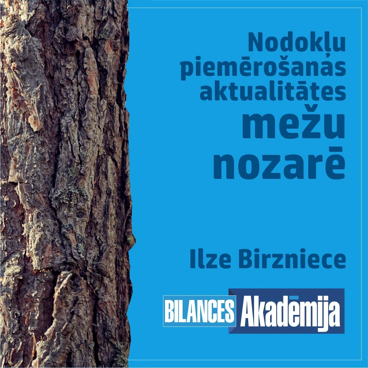 29.06.2022. E-seminārs: "Nodokļu piemērošanas aktualitātes mežu nozarē"