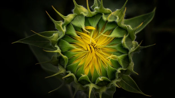 BILANCES galvenā redaktore Vita ZARIŅA: Sankcijas, digitalizācija un citi faktori ietekmē dzīvi katru dienu