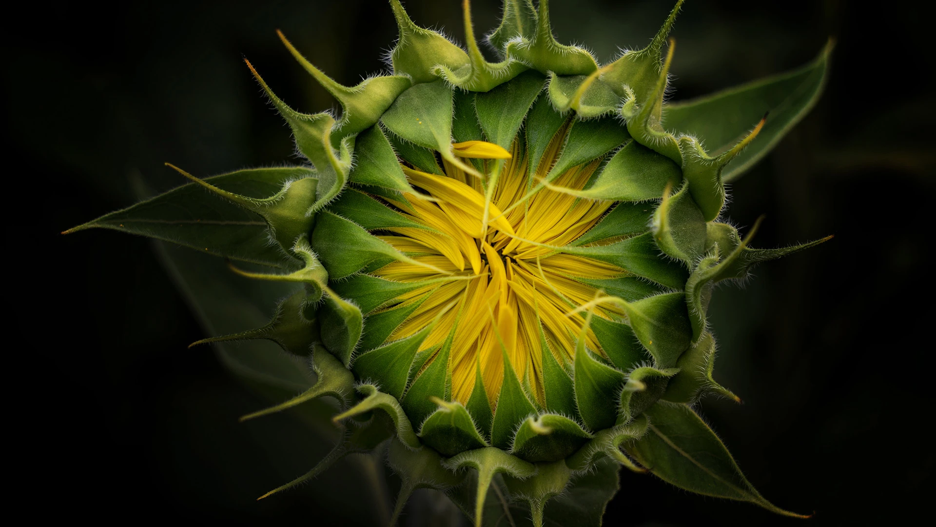 BILANCES galvenā redaktore Vita ZARIŅA: Sankcijas, digitalizācija un citi faktori ietekmē dzīvi katru dienu