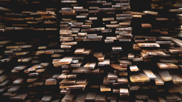 Nodokļu piemērošana fizisko personu veiktajiem darījumiem ar kokmateriāliem