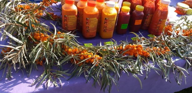 Kā sagaidīt pavasari moži un priecīgi?