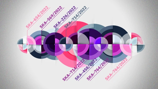 Tiesu prakse publisko iepirkumu lietās