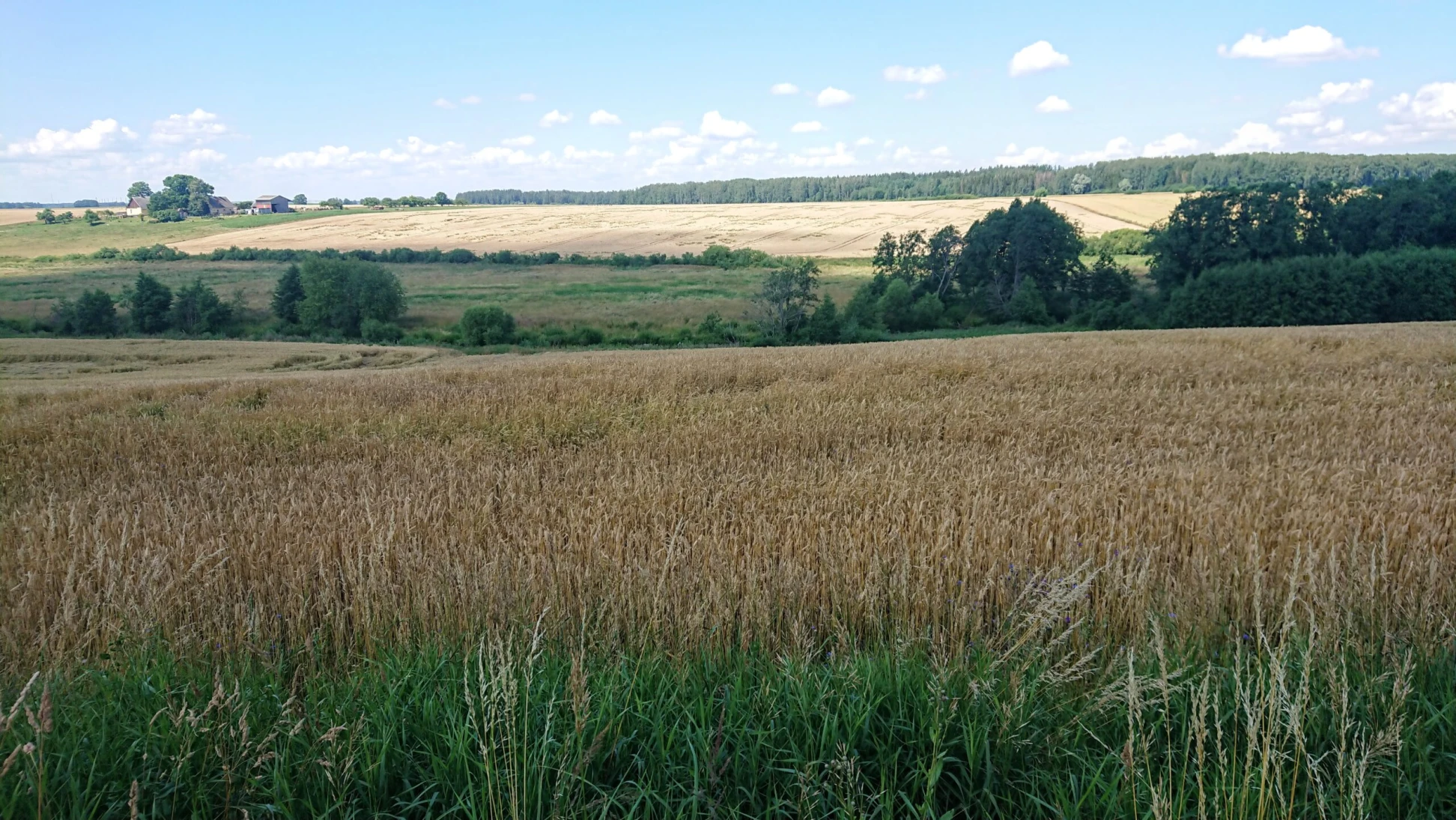 Palielināts pieejamais finansējums “Altum” apgrozāmo līdzekļu aizdevumu programmai