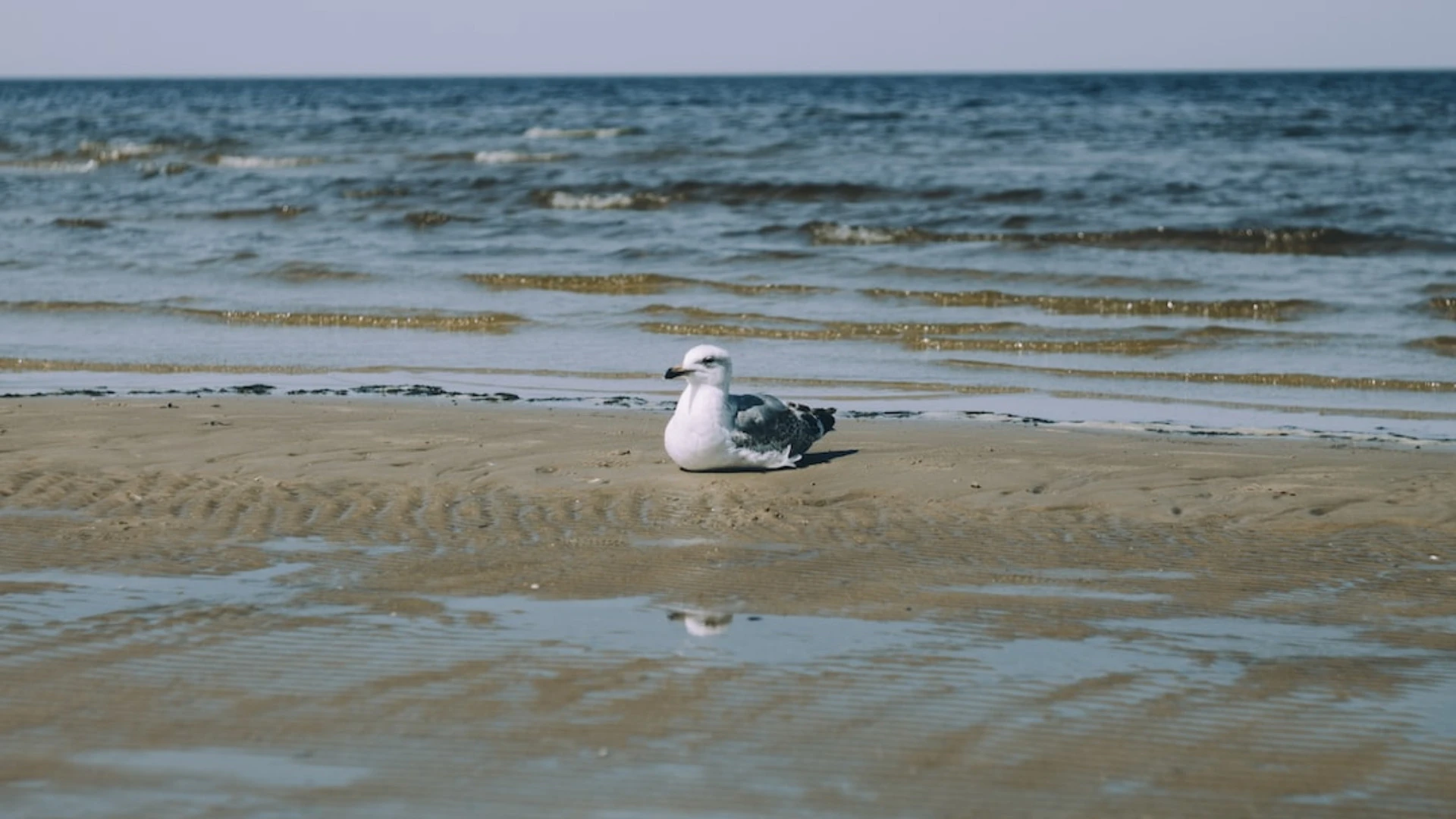 Jūrmalas pašvaldībai bija tiesības pārskatīt iebraukšanas maksu īpaša režīma zonā