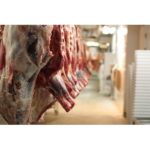 800px-Slaughterhouse_cattle_bodies_AUTO.jpg