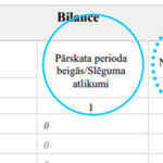 finansu parskata fragments