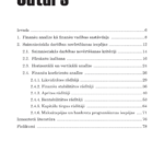 Saimnieciskas-darbibas-novertesana-izmantojot-finansu-analizi-e-gramata-04