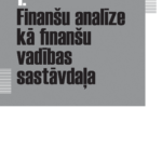 Saimnieciskas-darbibas-novertesana-izmantojot-finansu-analizi-e-gramata-08