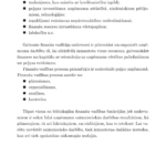 Saimnieciskas-darbibas-novertesana-izmantojot-finansu-analizi-e-gramata-11