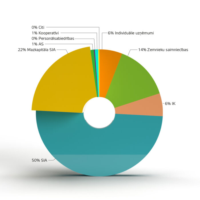 Uzņēmumu veidi (01.01.2022.–31.12.2022.)