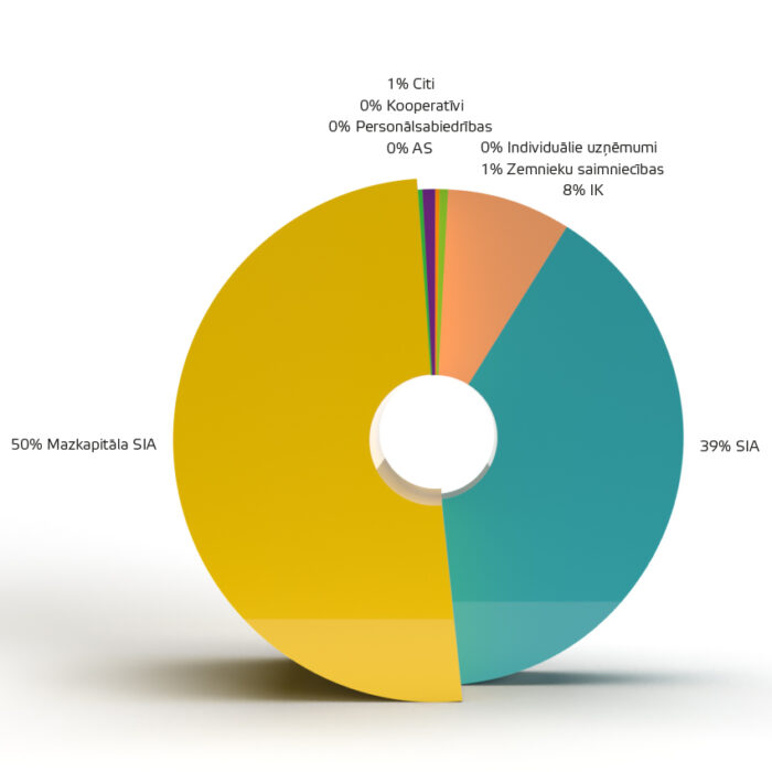 Reģistrēto uzņēmumu veidi (01.01.2022.–31.12.2022.)