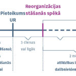 Vizuāla shēma dalībnieku aizsardzības procesam