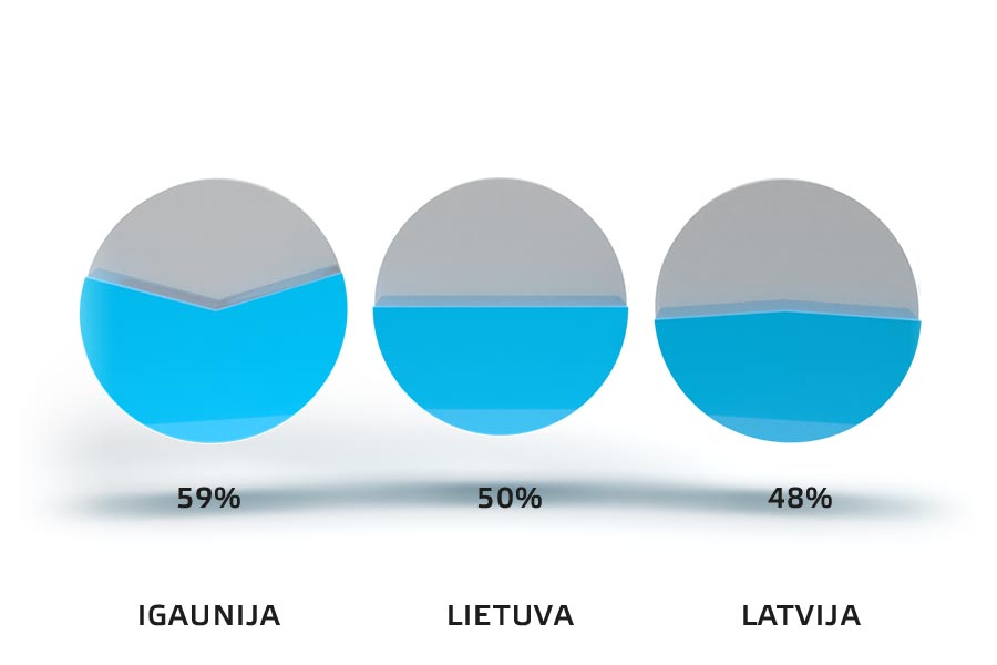 Pašu kapitāla īpatsvars uzņēmumu bilancē