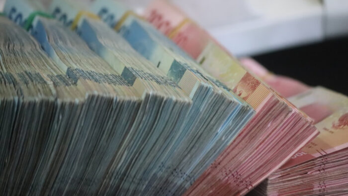 ES finansejums