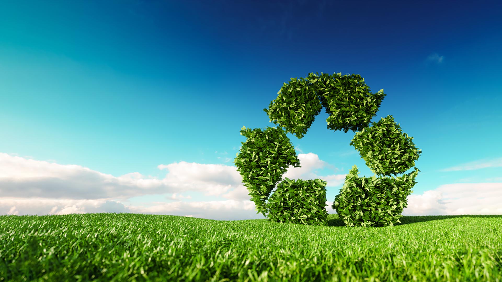 Eco friendly recyclation concept. 3d rendering of green recycle icon on fresh spring meadow with blue sky in background.