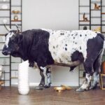 Kā panākt efektīvāku zaudējumu atlīdzināšanu Latvijā?